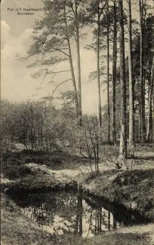 Ak Ginneken Breda Nordbrabant Niederlande, Mastbosch