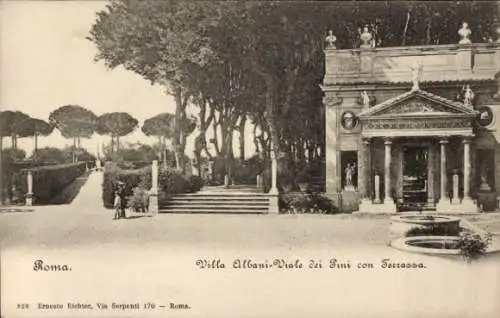 Ak Roma Rom Lazio, Villa Albani Viale dei Pini