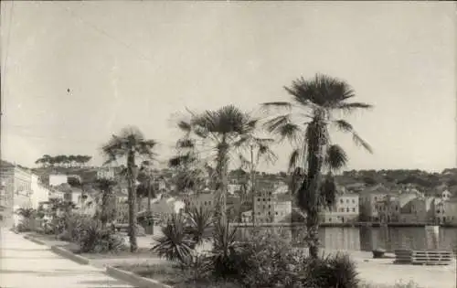 Foto Ak Mali Lošinj Lussinpiccolo Kroatien, Teilansicht, Palmen