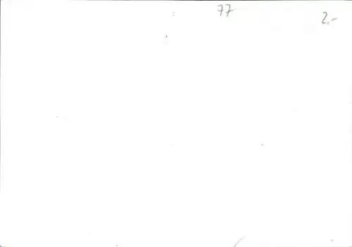 Ak Wittichenau in der Oberlausitz, 25 Jahre Karneval, 5. Briefmarkenwerbeschau