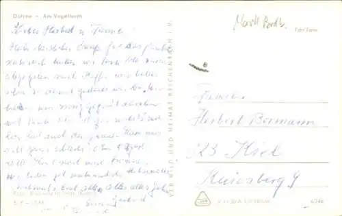 Ak Dahme in der Mark, Am Vogelturm, spielende Kinder, Fahne