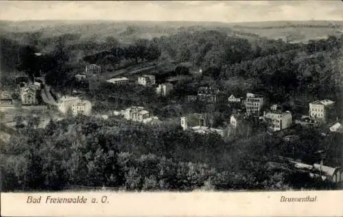 Ak Bad Freienwalde an der Oder, Brunnenthal