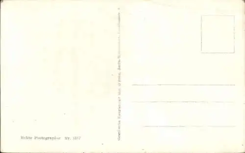 Ak Bad Saarow in der Mark, Heilquelle