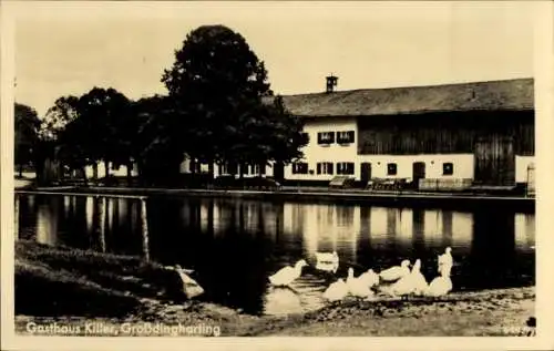 Ak Großdingharting Straßlach Dingharting Oberbayern, Wasserpartie, Enten