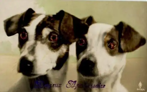 Wackelaugen Ak Zwei Hunde, Tierporträt