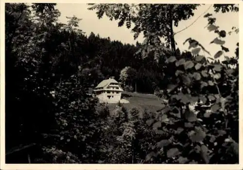 Foto Ak Hinterzarten im Schwarzwald, Haus am Hang