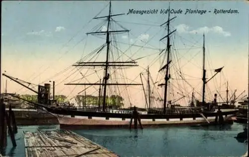 Ak Rotterdam Zuid-Holland Nederland, Maasgezicht, Oude Plantage