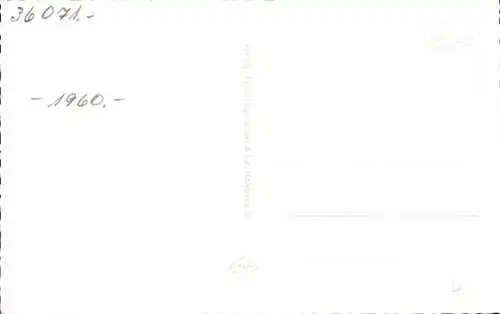 Ak Lauenburg an der Elbe, Teilansicht, Dampfer