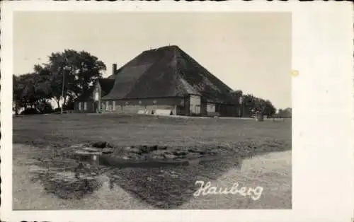 Ak Eutin in Ostholstein, Hauberg