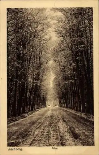 Ak Aschberg Klingenthal im Vogtland Sachsen, Allee, Aschberg.