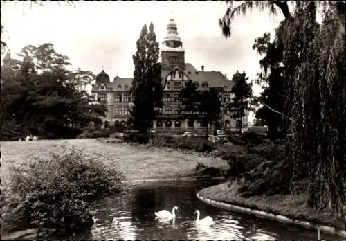 Ak Recklinghausen im Ruhrgebiet, Rathaus, 2 Schwäne im Teich, viele Bäume