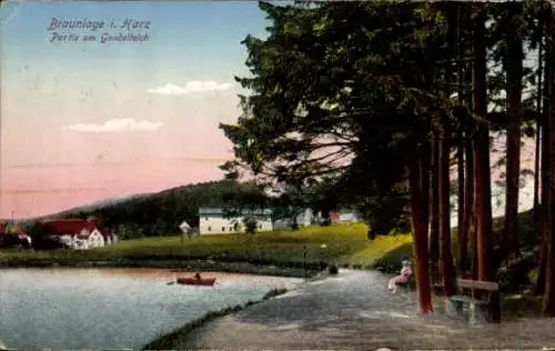 Ak Braunlage im Oberharz, Blick auf den Gondelteich in Braunlage im Harz mit einer Person auf ...