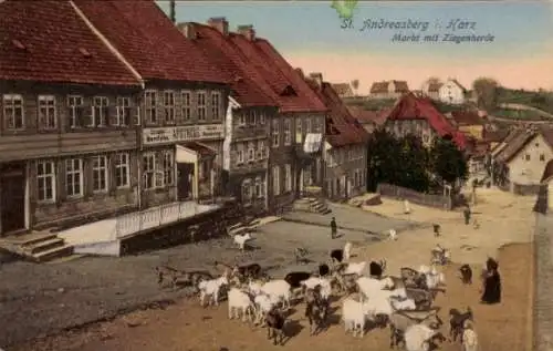 Ak Sankt Andreasberg Braunlage im Oberharz, Markt mit Ziegenherde