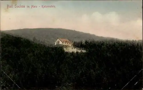 Ak Bad Sachsa im Harz, Blick auf den Katzenstein im Harz