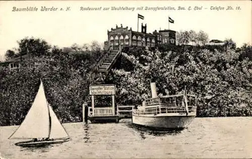 Ak Werder an der Havel, Baumblüte Werder a. 3., Restaurant zur Wachtelburg mit Dampferstation