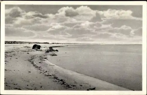 Ak Ostseebad Prerow auf dem Darß, Prerowbucht