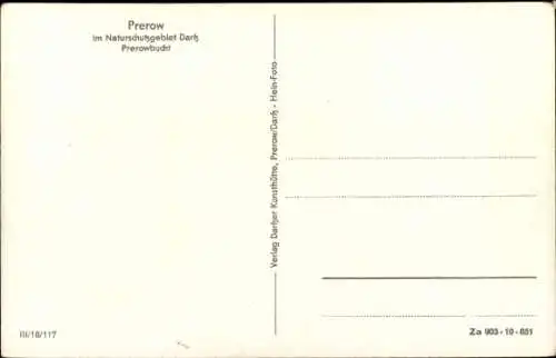 Ak Ostseebad Prerow auf dem Darß, Prerowbucht