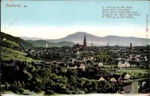 Ak Freiburg im Breisgau, Panorama