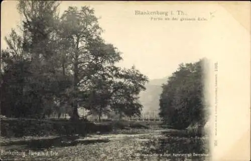 Ak Blankenburg am Harz, Burg Regenstein,  an der grossen Erle.