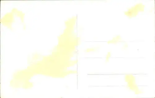 Ak Arad Rumänien, Kulturpalast