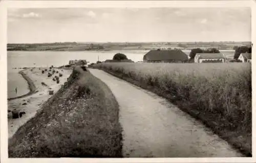 Ak Hohwacht an der Ostsee, Strand