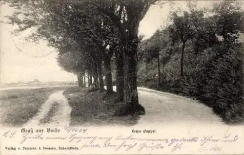 Ak Ostseebad Borby Eckernförde, Baumallee, letzte Pappel