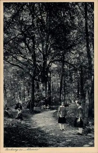 Ak Zangberg in Oberbayern, Erziehungs-Institut der Salesianerinnen St. Joseph, Parkweg