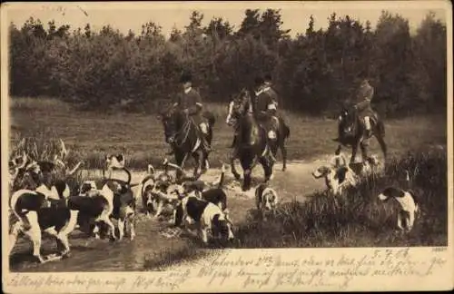 Ak Männer zu Pferde, Jäger, Jagd, Jagdhunde