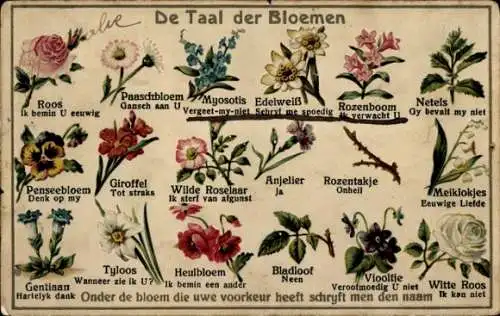 Präge Ak Blumensprache, Rosen, Vergissmeinnicht, Stiefmütterchen, Veilchen