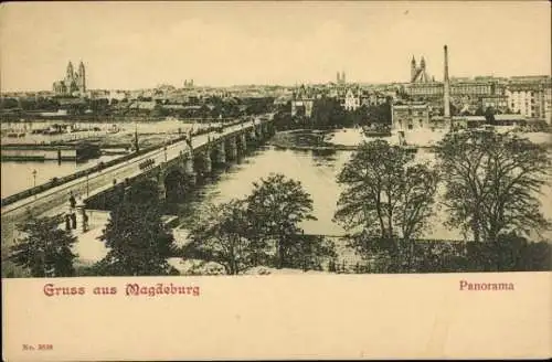 Ak Magdeburg an der Elbe,  Panorama