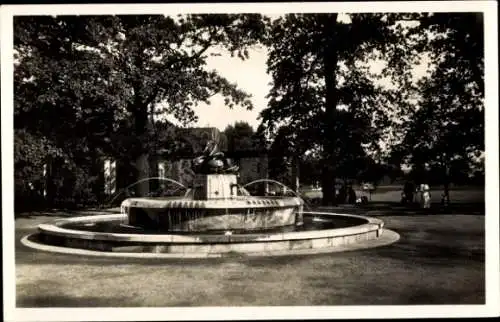 Ak Zwickau in Sachsen, Schwanenteich, Schwanenbrunnen