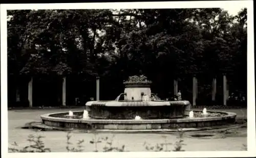 Foto Zwickau in Sachsen, Springbrunnen