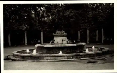 Foto Zwickau in Sachsen, Springbrunnen