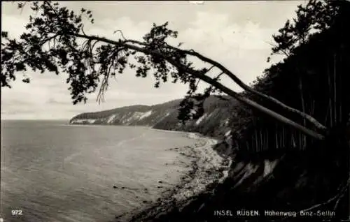 Ak Insel Rügen, Schwarz-weiß Foto einer Steilküste mit Bäumen am Meer