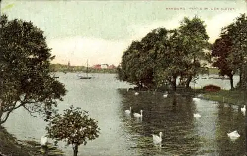 Ak Hamburg, an der Alster, Schwäne