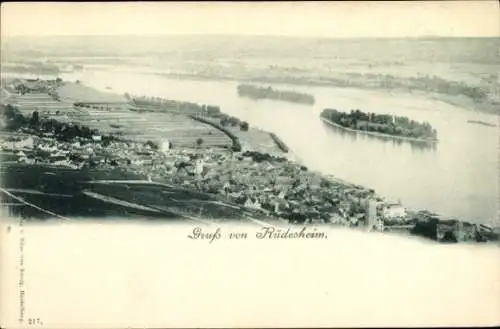 Ak Rüdesheim am Rhein, Gruß von  V. Ed. von König, Heidelberg.