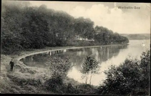 Ak Schorfheide, am Werbellinsee, Ufermotiv