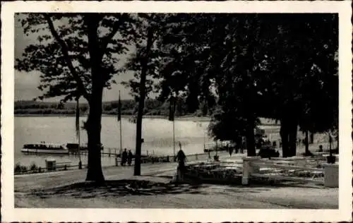 Ak Plau am See Mecklenburg, Seelust am Plauer See