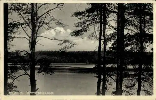 Ak Briesen in der Mark, Stimmungsbild am See