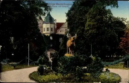 Ak Königs Wusterhausen in Brandenburg, Schloss, Hirsch