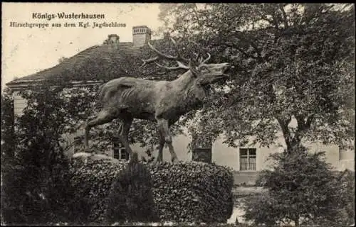 Ak Königs Wusterhausen in Brandenburg, Hirschgruppe aus dem Kgl. Jagdschloss