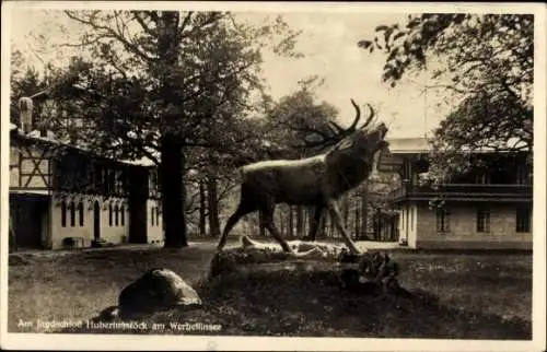 Ak Joachimsthal in der Uckermark Schorfheide, Jagdschloss Hubertussstock am Werbellinsee