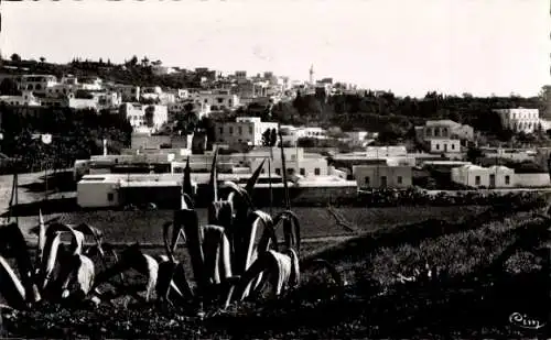 Ak Sidi Bou Saïd Tunesien, Vue generale