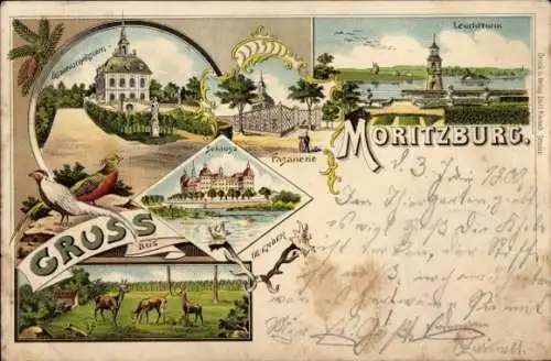 Litho Moritzburg in Sachsen, Vorderseite mit Schloss, Leuchtturm, Fasanerie, Naturansichten