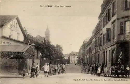 CPA Mulhouse Mulhouse Alsace Haut-Rhin, Rue des Oiseaux