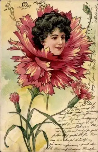 Ak Nelke, Frauenkopf