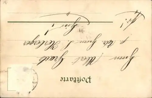 Ak Nelke, Frauenkopf