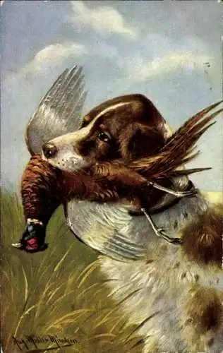 Künstler Ak Müller, M., Jagdhund mit erlegtem Fasan