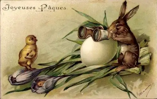 Präge Ak Frohe Ostern, Osterhase mit Fernglas, Ei, Küken, Krokusse
