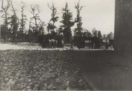 Original Foto Berlin Tiergarten, Flak-Bunker am Zoo (Zoobunker), Demontage, 1946